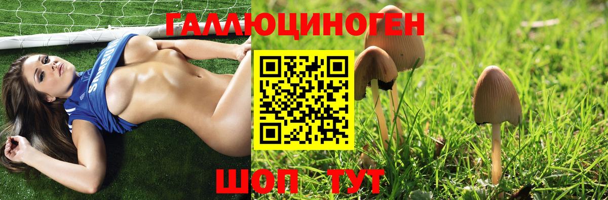 Галлюциногенные грибы GOLDEN TEACHER Новокуйбышевск