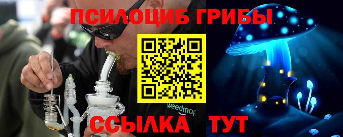 Новокуйбышевск  Галлюциногенные грибы GOLDEN TEACHER  Вход с VPN  где продают наркотики  Псилоцибиновые грибы прущие грибы 